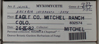 Image Associated With the Occurence